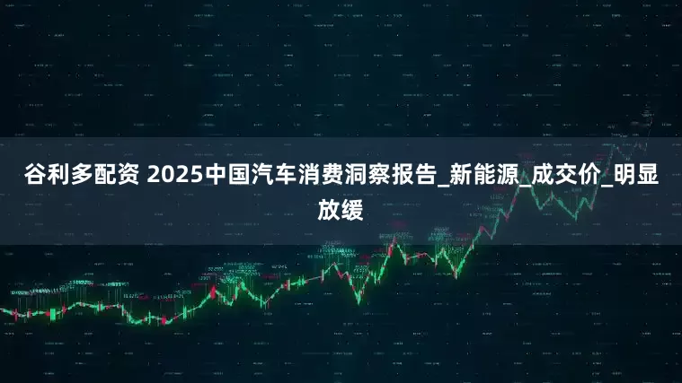 谷利多配资 2025中国汽车消费洞察报告_新能源_成交价_明显放缓
