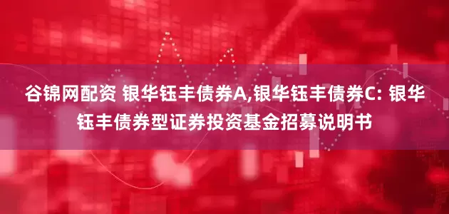 谷锦网配资 银华钰丰债券A,银华钰丰债券C: 银华钰丰债券型证券投资基金招募说明书
