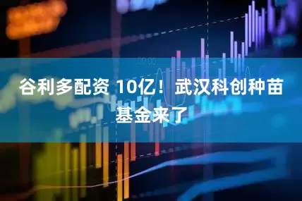 谷利多配资 10亿！武汉科创种苗基金来了