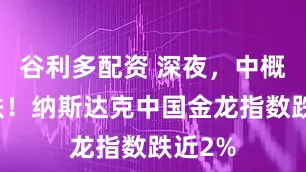 谷利多配资 深夜，中概股大跌！纳斯达克中国金龙指数跌近2%